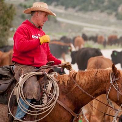 images/0906_Cattle_Drive_465.jpg